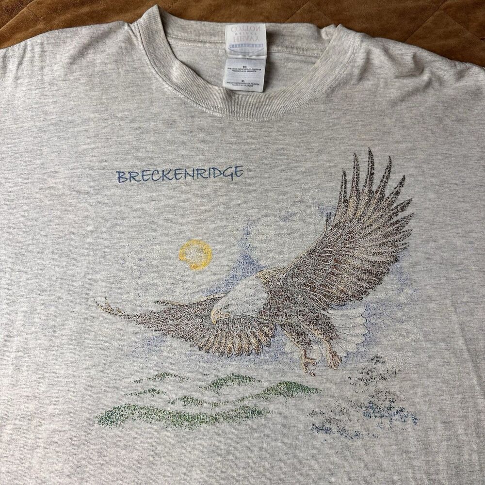Vintage Nature Shirt Breckenridge Colorado Eagle Faded T-Shirt Mens XL Gray